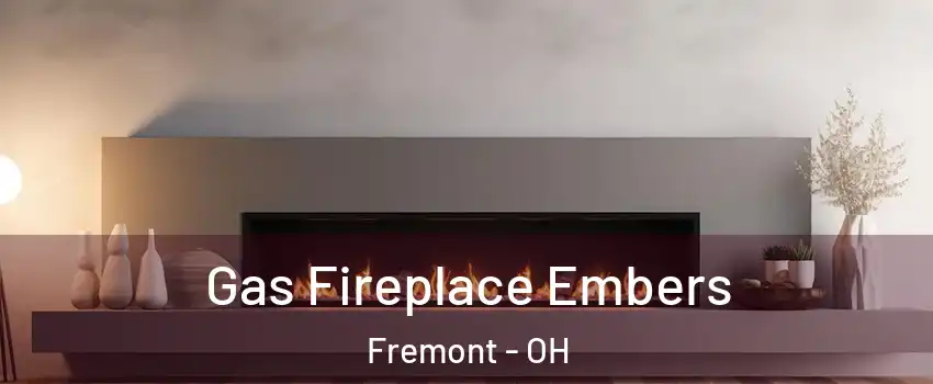  Gas Fireplace Embers Fremont - OH