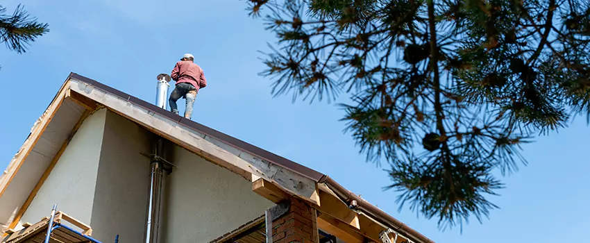 Birds Removal Contractors from Chimney in Fremont, OH